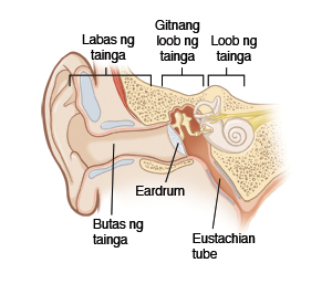 Larawan na nagpapakita ng cross-section ng panlabas, gitna at loob ng tainga, kabilang ang agusan ng tainga, bamban ng tainga, at eastachian tube.