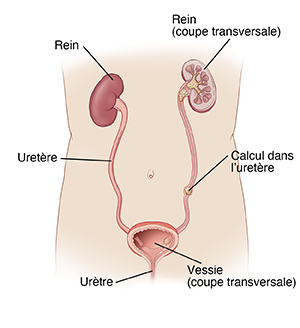 Images de points de suture, steri-strips, colle et agrafes refermant une plaie.